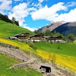 Peter from Südtirol👨‍🌾⛰️