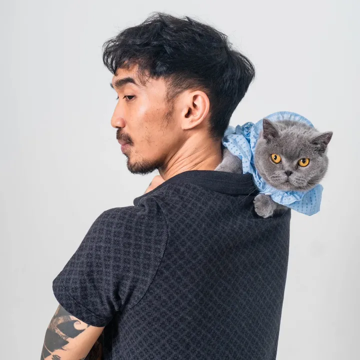 Agege Kucing