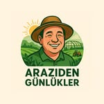 Murat Yavuzer