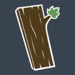 Wooden Plank Studios