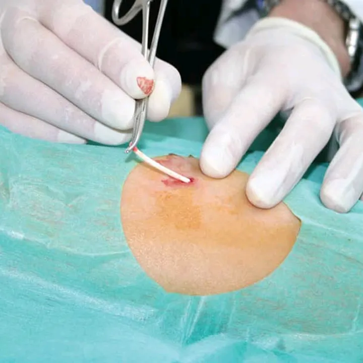 ❤️ Eulalia ⚡PICIS ❤️