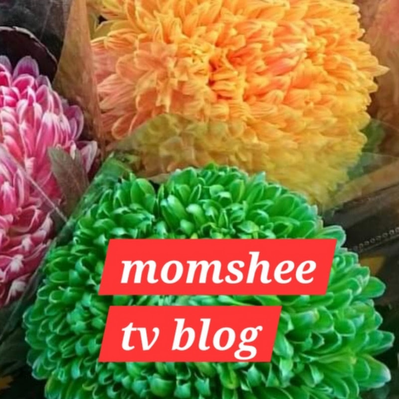 momshee TV blog