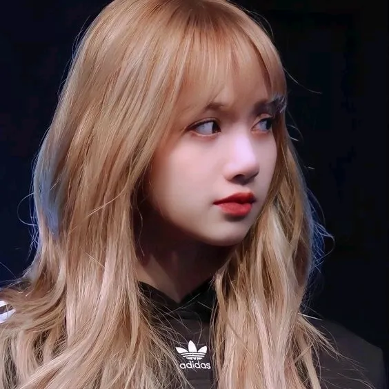 Blink_2025❤️❤️
