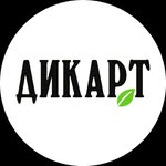 ДИКАРТ | ЗАВОД ИНТЕРЬЕРНОЙ И ФАСАДНОЙ ЛЕПНИНЫ