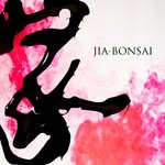 Professional Bonsai Boutique