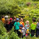 Ebb and Flow Forest School