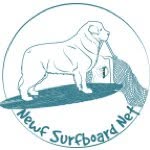 newfsurfboardnet