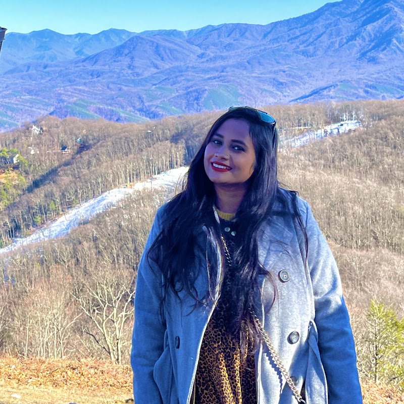AV vlogs (Indians in USA)