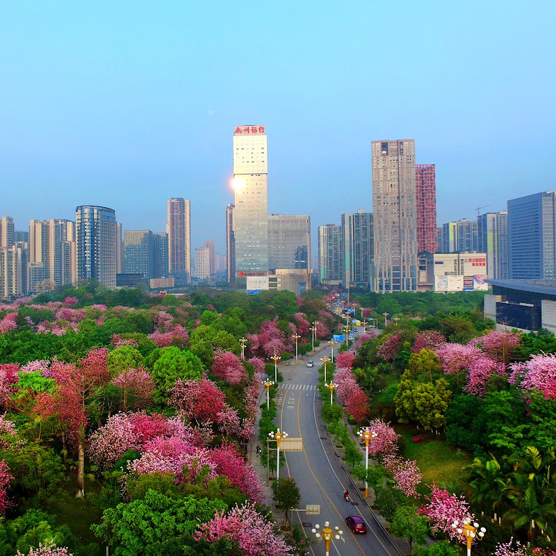 Amazing Liuzhou