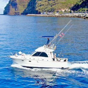 Flipper II Madeira Fishing