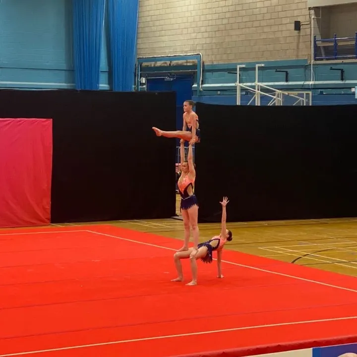 scarlett 🤸‍♂️