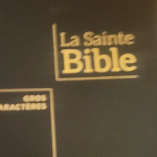 La Servante