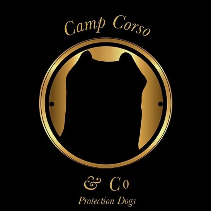 ⭐️ Camp Corso & Co ⭐️