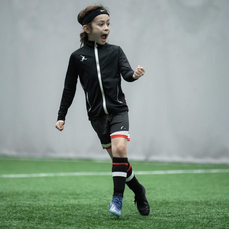 Dimon_FIFA_World_Cup_2038_Champion