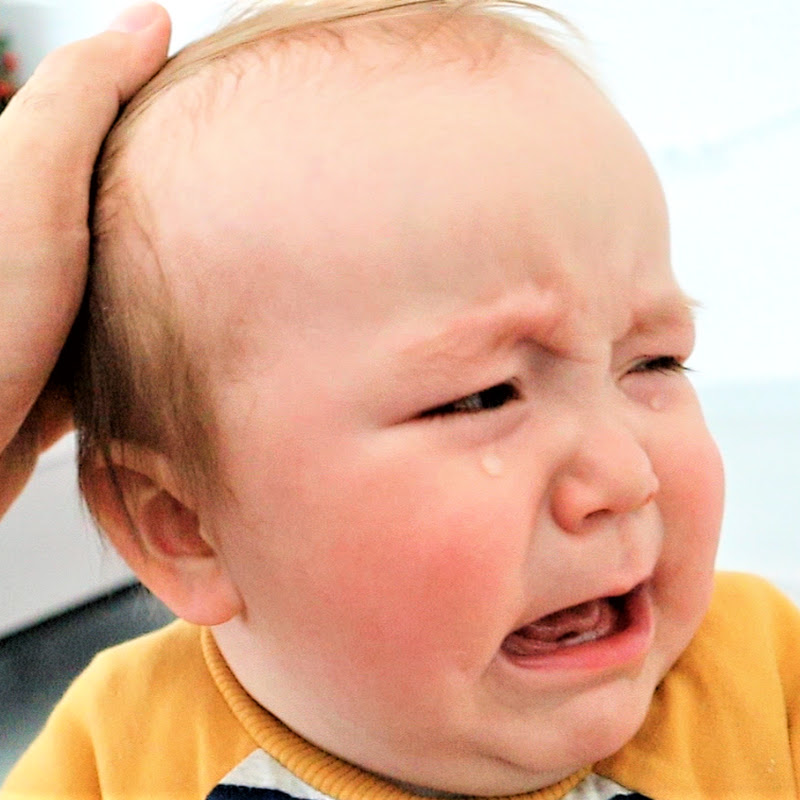 Bulut'un Oyuncak Dünyası