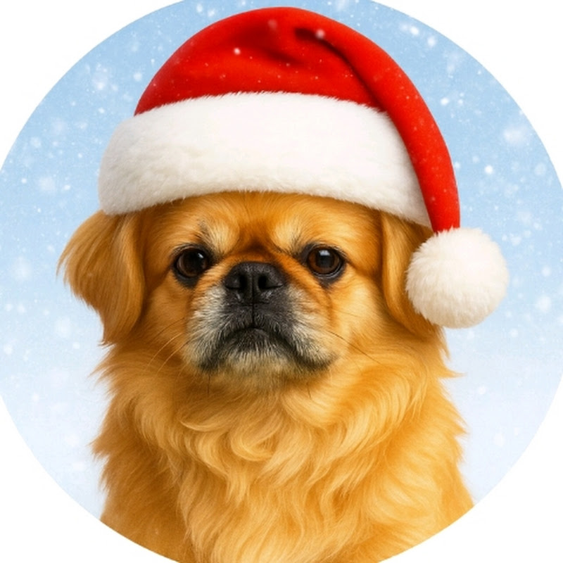 Th3 Pekingese paw-crew