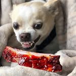 NTX BBQ Supply