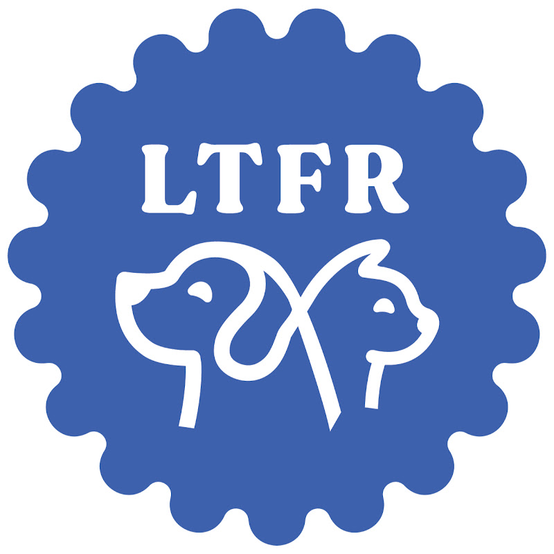 Let's Talk Fur-Real