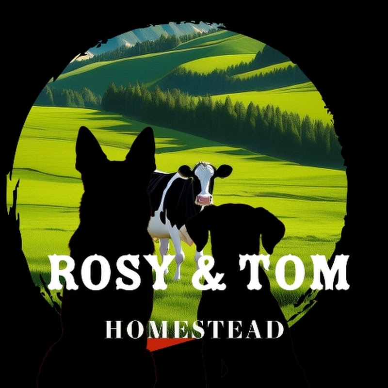 Rosy and Tom Portugal Homestead 
