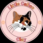 Little Calico Clay 🌸 Ashton