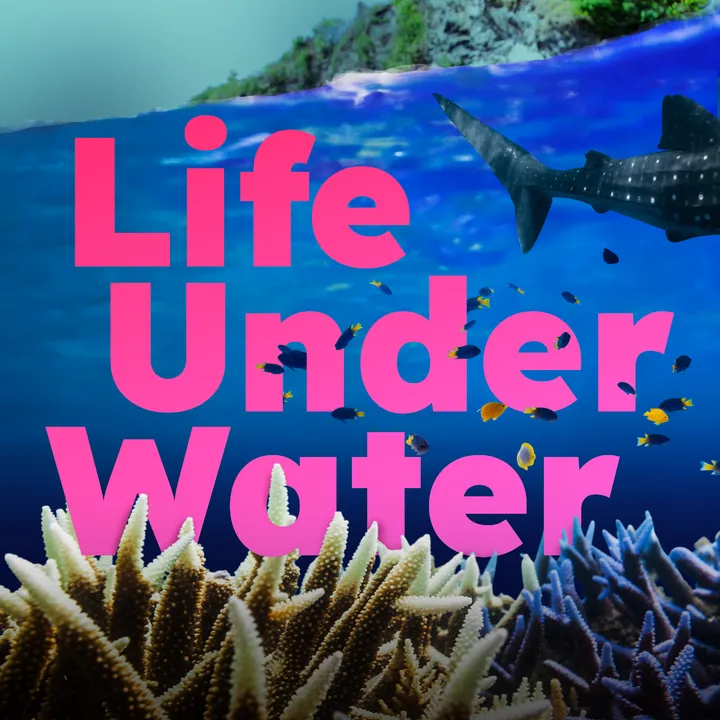 Oceans: Life Under Water
