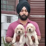 Karanjeet Shergill