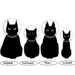 Black Cat Family & Hellу Copter ⭐️Семейка Черных и Геликоптер