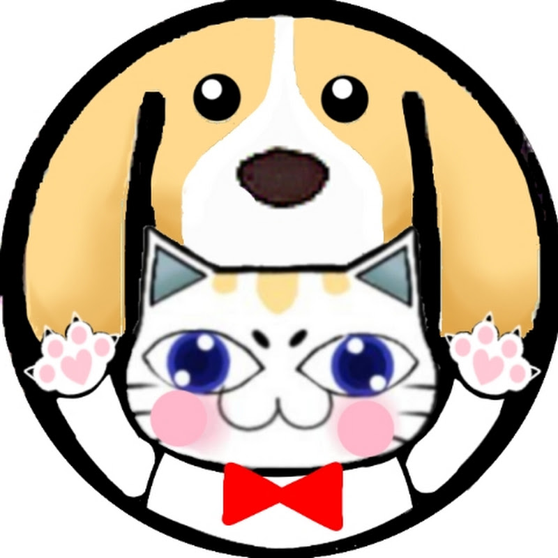 Shockopy ช็อคโกปี้ แมว ตาโต&แก๊งป่วน