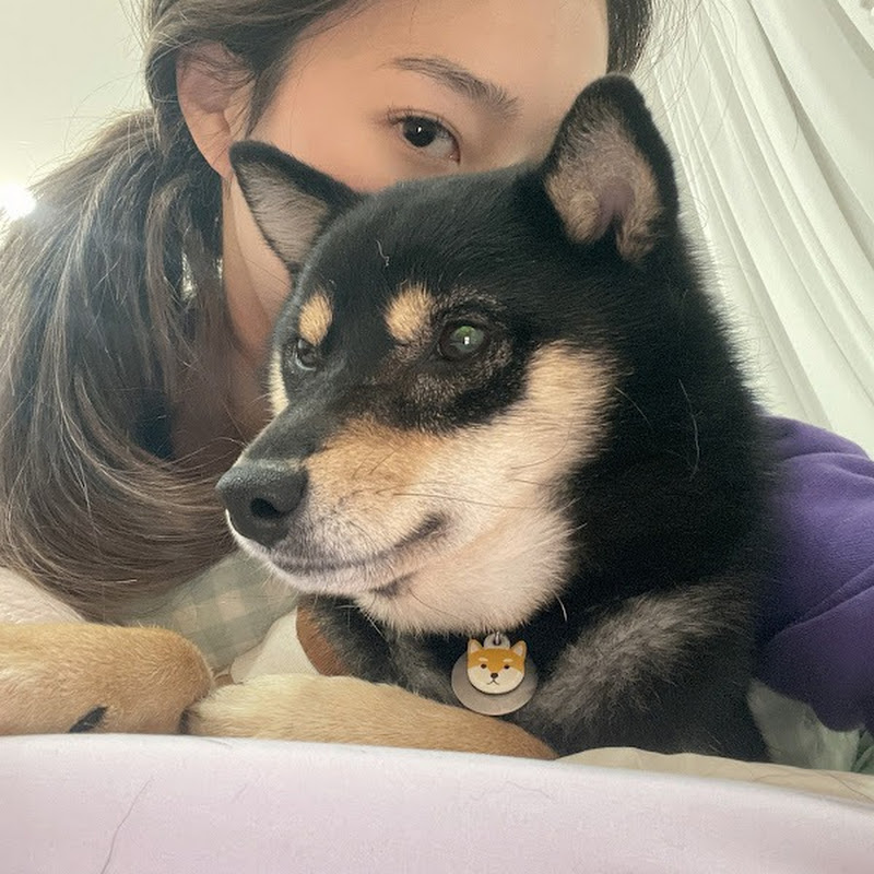 방쥬르 bangrejour