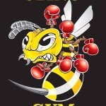 Sting Gym
