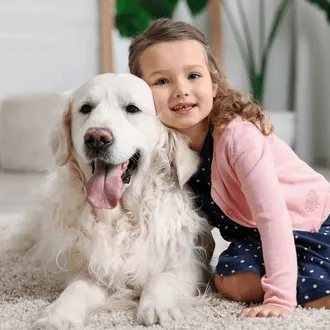 Amazing Videos