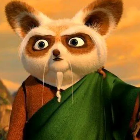 Maestro shifu