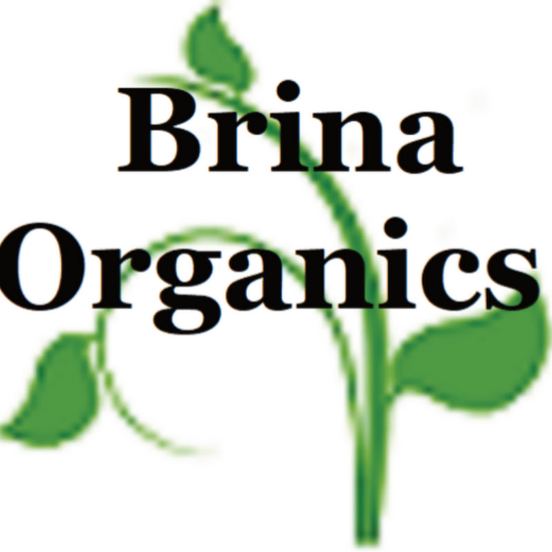 Brina Organics Wellness