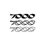 700070007000