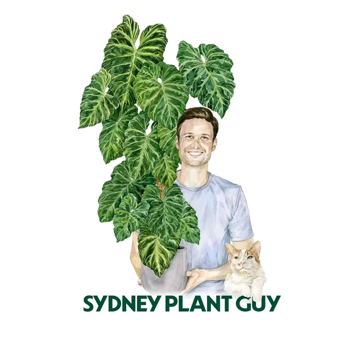 Sydney Plant Guy
