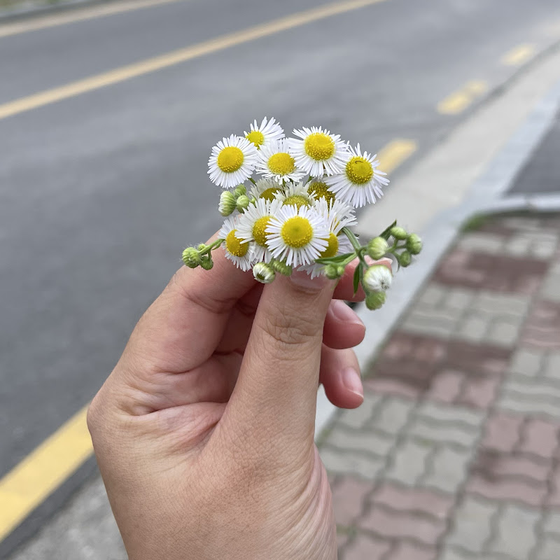 NuttaLee_ ณัฐ ลี