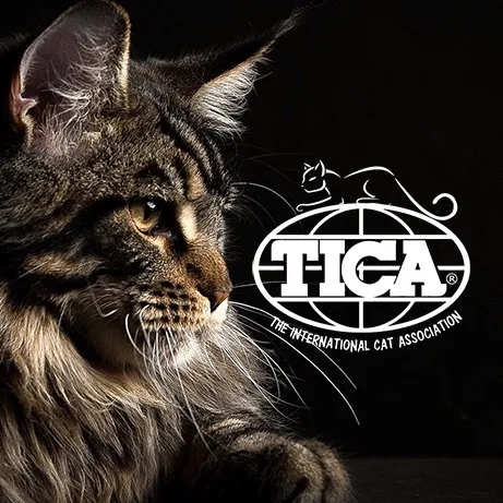 TICA