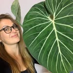 Lady&ThePlants