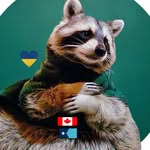 Diddles Raccoon