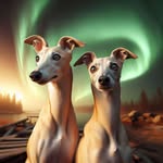 🐕🇧🇪 Picus & Millie 🇳🇱🐕