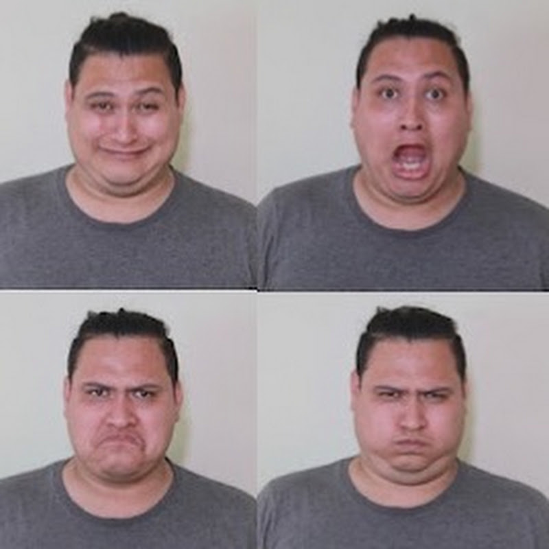 Reacción Fan 