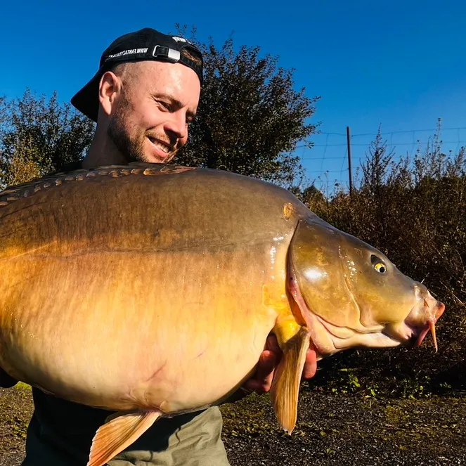 OpaCarpfishing