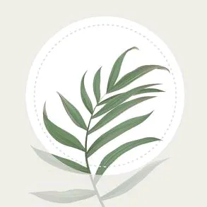 blossom_app