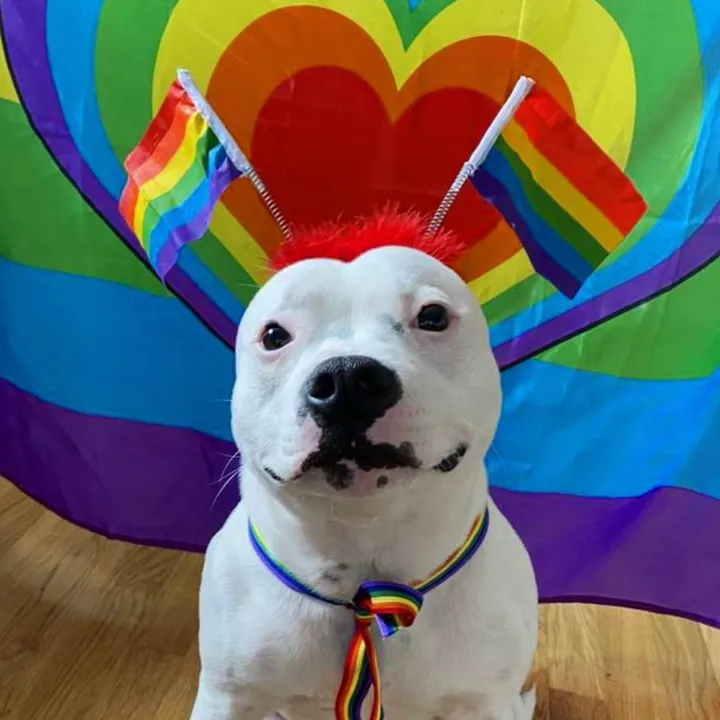Einstein&moms🏳️‍🌈