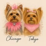 Chicago & Tokyo | The Yorkie Girls