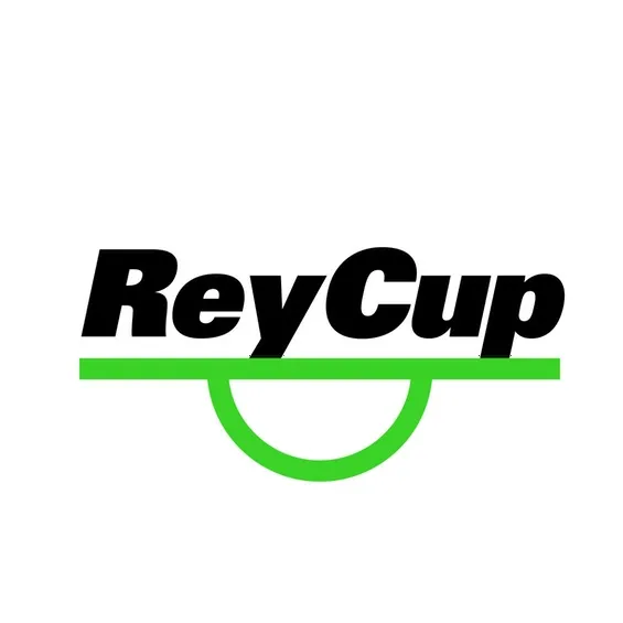 ReyCupIceland