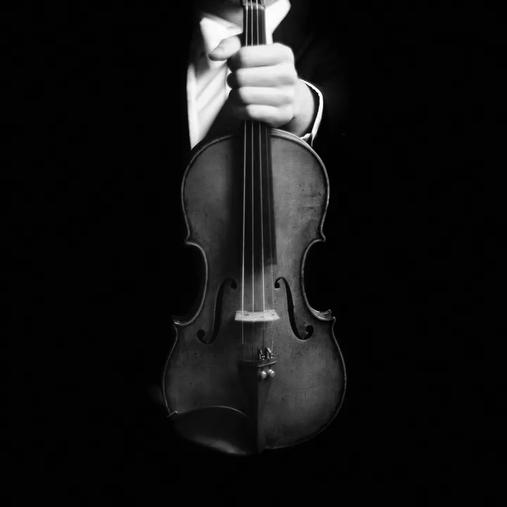 thevirtuosicviolin