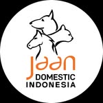 JAAN Domestic Foundation