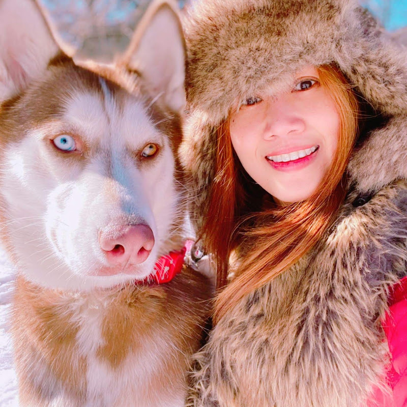 PINK HUSKY  CHICAGO