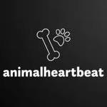 Cats | Dogs | Animals